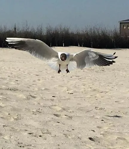 Gaestezimmer Luetje Wattwurm * 多纳莫塞尔